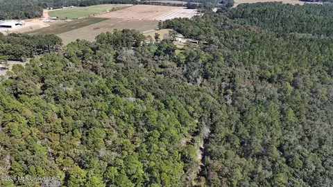 Other - 2672 Dickerson Sawmill Rd, Lucedale, MS 39452 photo 20 of 27