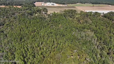 Other - 2672 Dickerson Sawmill Rd, Lucedale, MS 39452 photo 17 of 27