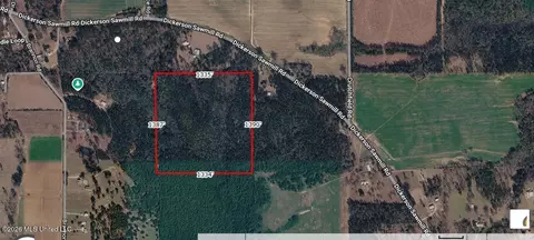 Other - 2672 Dickerson Sawmill Rd, Lucedale, MS 39452 photo 25 of 27
