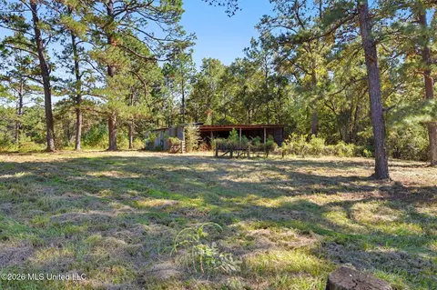 Exterior - 2672 Dickerson Sawmill Rd, Lucedale, MS 39452 photo 8 of 8