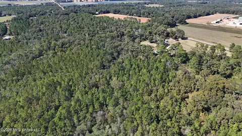 Other - 2672 Dickerson Sawmill Rd, Lucedale, MS 39452 photo 16 of 27