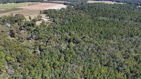 Other - 2672 Dickerson Sawmill Rd, Lucedale, MS 39452 photo 19 of 27