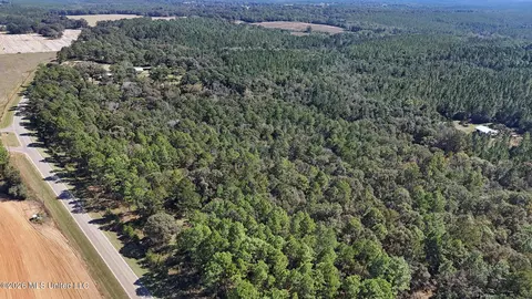 Other - 2672 Dickerson Sawmill Rd, Lucedale, MS 39452 photo 21 of 27