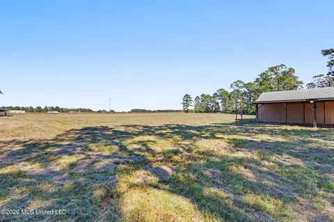 Exterior - 2672 Dickerson Sawmill Rd, Lucedale, MS 39452 photo 6 of 8