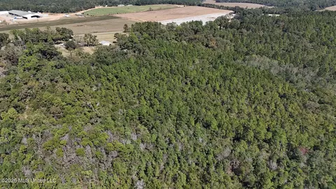 Other - 2672 Dickerson Sawmill Rd, Lucedale, MS 39452 photo 18 of 27