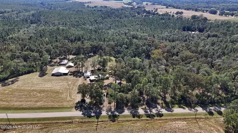 Other - 2672 Dickerson Sawmill Rd, Lucedale, MS 39452 photo 13 of 27