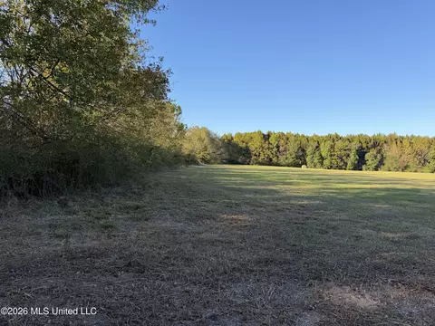 Lawrence Hazel Road, Lawrence, MS 39336 photo 3