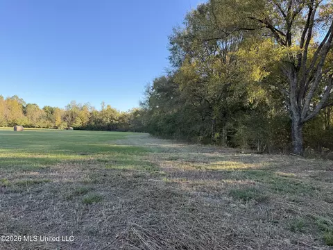 Lawrence Hazel Road, Lawrence, MS 39336 photo 2
