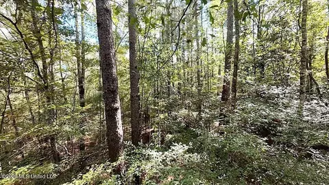 0 Us 84, Monticello, MS 39654 photo 12