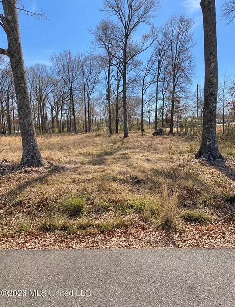 Nash Drive, Grenada, MS 38901 photo 4