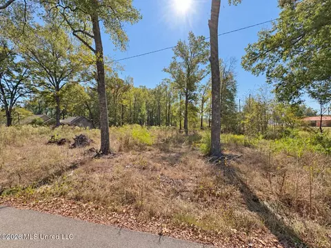 Nash Drive, Grenada, MS 38901 photo 2