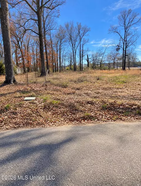 Nash Drive, Grenada, MS 38901 photo 3