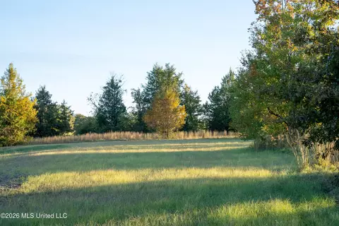 130 Cinnamon Rdg, Raymond, MS 39154 photo 13