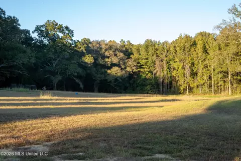 130 Cinnamon Rdg, Raymond, MS 39154 photo 5