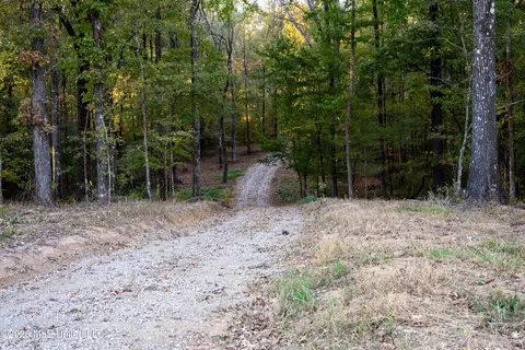 130 Cinnamon Rdg, Raymond, MS 39154 photo 4