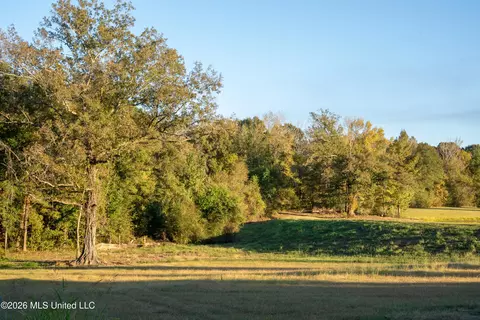 130 Cinnamon Rdg, Raymond, MS 39154 photo 6
