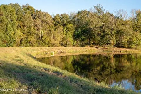 130 Cinnamon Rdg, Raymond, MS 39154 photo 10
