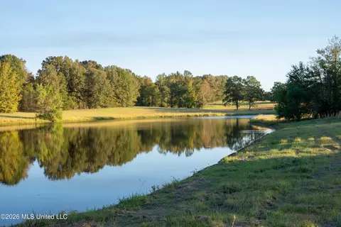 130 Cinnamon Rdg, Raymond, MS 39154 photo 11