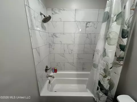Bath - 1095 Willis Cotton Rd, Summit, MS 39666 photo 3 of 13