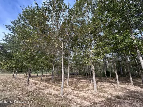 Exterior - 1095 Willis Cotton Rd, Summit, MS 39666 photo 6 of 6
