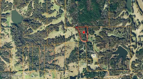 901 Clanton Rd, Coldwater, MS 38618 photo 11
