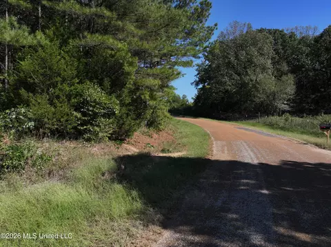 901 Clanton Rd, Coldwater, MS 38618 photo 9
