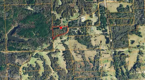 901 Clanton Rd, Coldwater, MS 38618 photo 12