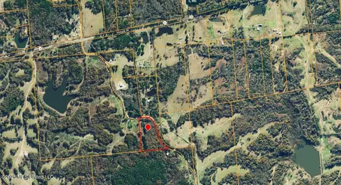 901 Clanton Rd, Coldwater, MS 38618 photo 10