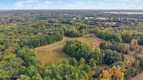 10177 Parks Place Rd, Como, MS 38619 photo 8