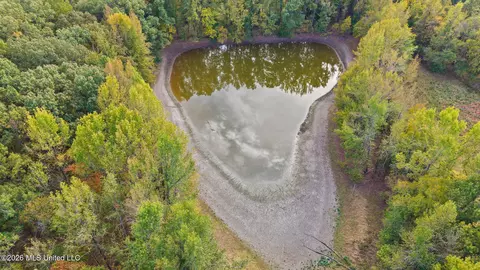10177 Parks Place Rd, Como, MS 38619 photo 11