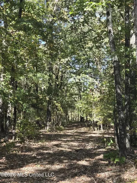 10177 Parks Place Rd, Como, MS 38619 photo 2