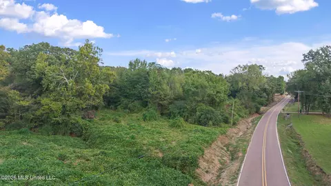 Bright Road, Hernando, MS 38632 photo 5