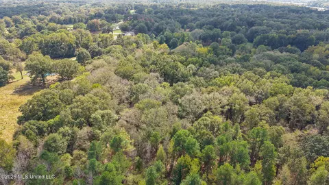 Bright Road, Hernando, MS 38632 photo 12