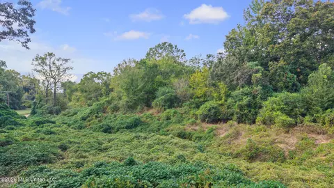 Bright Road, Hernando, MS 38632 photo 6