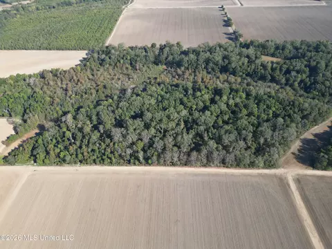 Prewitt Road, Shaw, MS 38773 photo 6