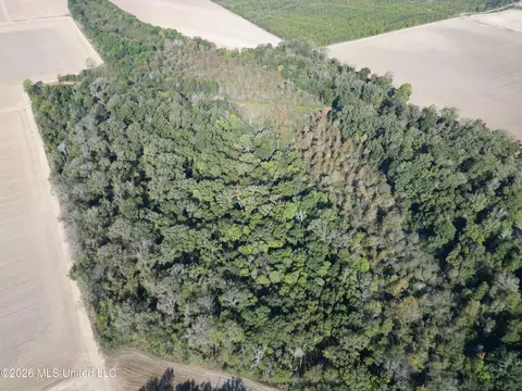 Prewitt Road, Shaw, MS 38773 photo 5