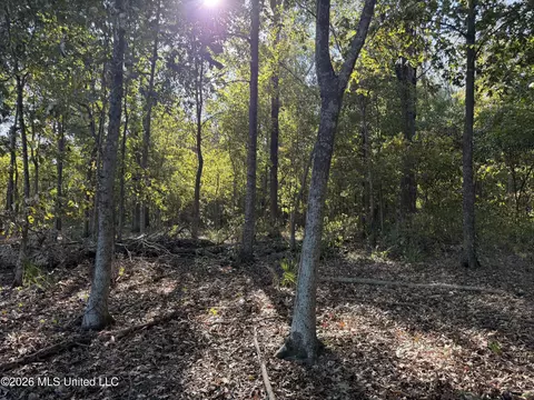 Prewitt Road, Shaw, MS 38773 photo 11