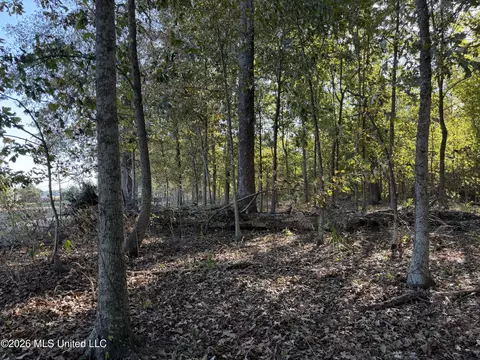 Prewitt Road, Shaw, MS 38773 photo 10