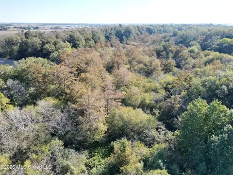 Prewitt Road, Shaw, MS 38773 photo 2