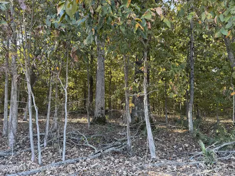 Prewitt Road, Shaw, MS 38773 photo 16