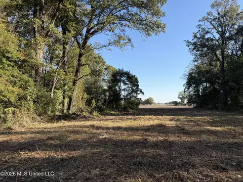 Prewitt Road, Shaw, MS 38773 photo 18