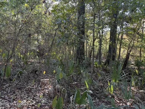 Prewitt Road, Shaw, MS 38773 photo 22