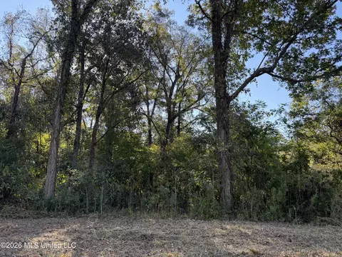 Prewitt Road, Shaw, MS 38773 photo 19