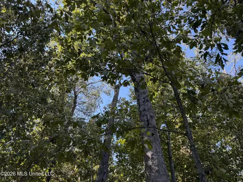 Prewitt Road, Shaw, MS 38773 photo 12