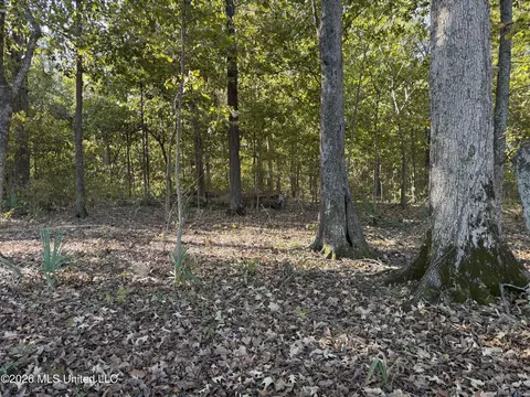 Prewitt Road, Shaw, MS 38773 photo 14