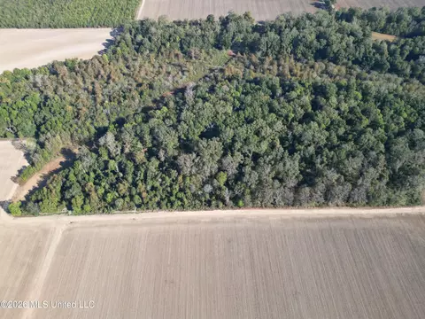 Prewitt Road, Shaw, MS 38773 photo 7