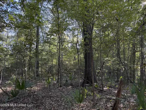 Prewitt Road, Shaw, MS 38773 photo 17