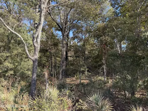 Prewitt Road, Shaw, MS 38773 photo 9