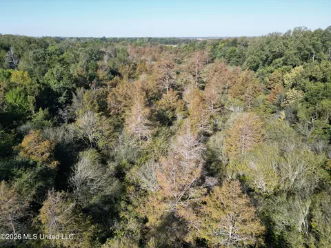 Prewitt Road, Shaw, MS 38773 photo 3