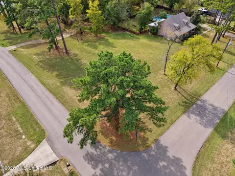 Mescalero Way, Madison, MS 39110 photo 18